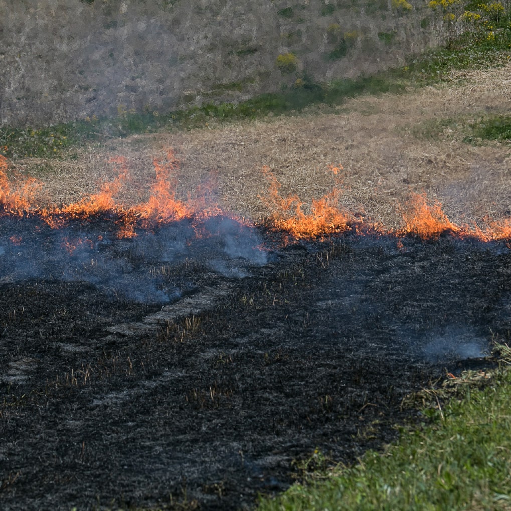 Burn & Bury Timberwolf Land Clearing